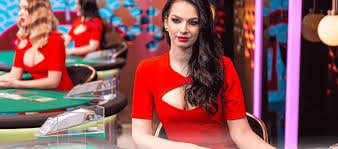 malina Wolf Gold mein kya hai khas?
